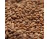 Wheat Malt