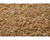 RICE HULLS 50LB